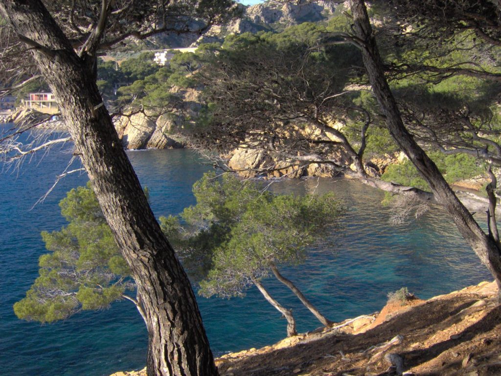 Le sentier du douanier à Méjean