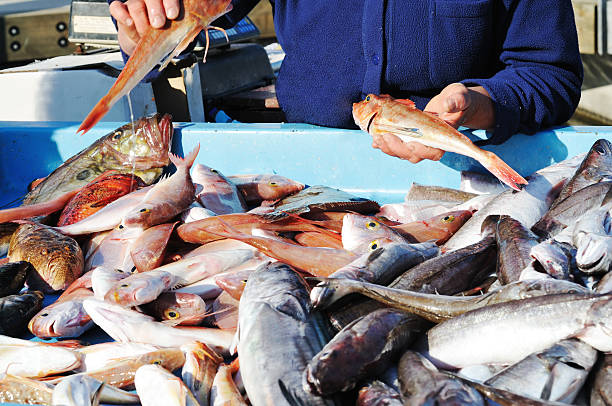 meilleurs restaurants de poissons et de fruits de mer à Marseille