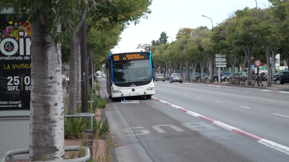 Bus 19 à Marseille
